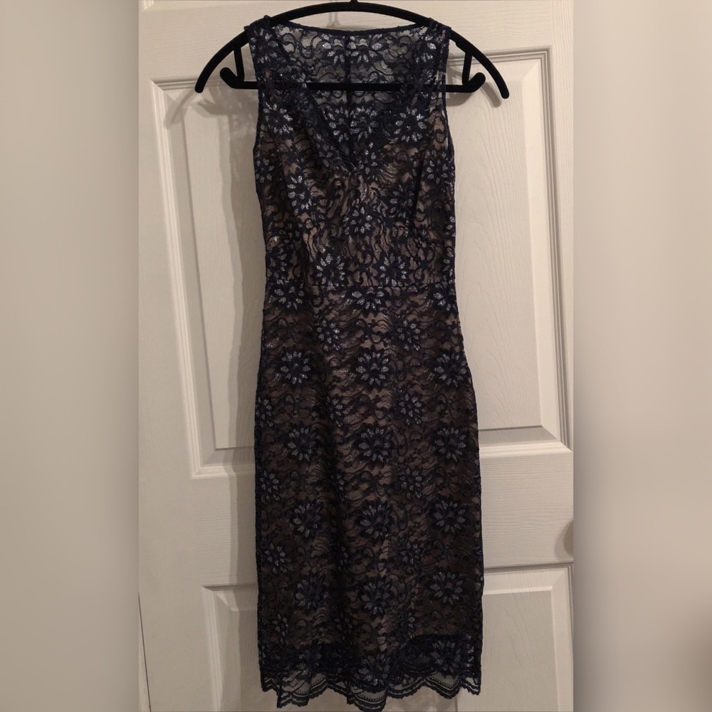 BCBG Maxazria Sheer Blue Lace Overlay w/ Nude Slip